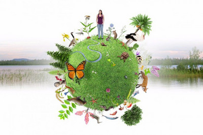 Journée internationale de la Biodiversité - JIB / IDB Image 1