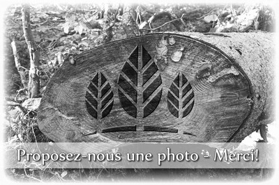01 octobre 1976 - Inauguration du grand barrage Franco-Suiss ... Image 1