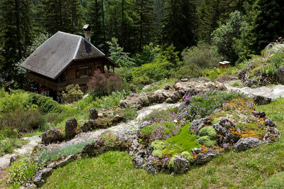 Jardin botanique alpin Flore-Alpe, à Champex-Lac