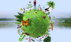Biodiversité et biodiversité valaisanne Image 1