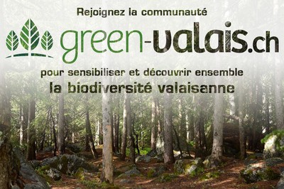Bienvenue dans la communauté GreenValais Bild 1